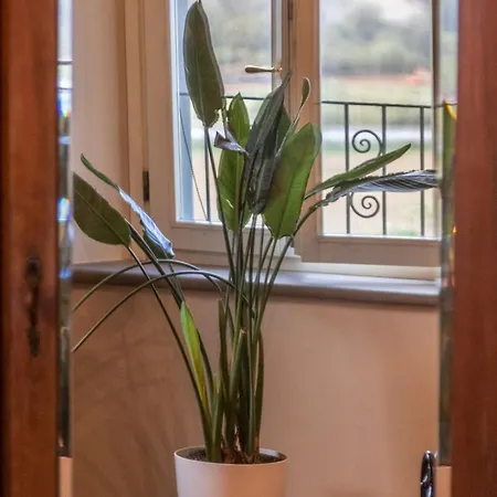 Naldi Relais San Carlo (Forli-Cesena)