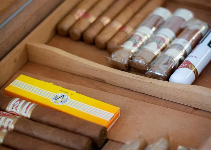 Naldi Relais מלון San Carlo (Forli-Cesena)